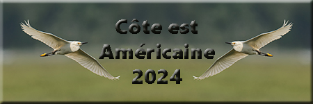 Côte est Américaine 2024 width=